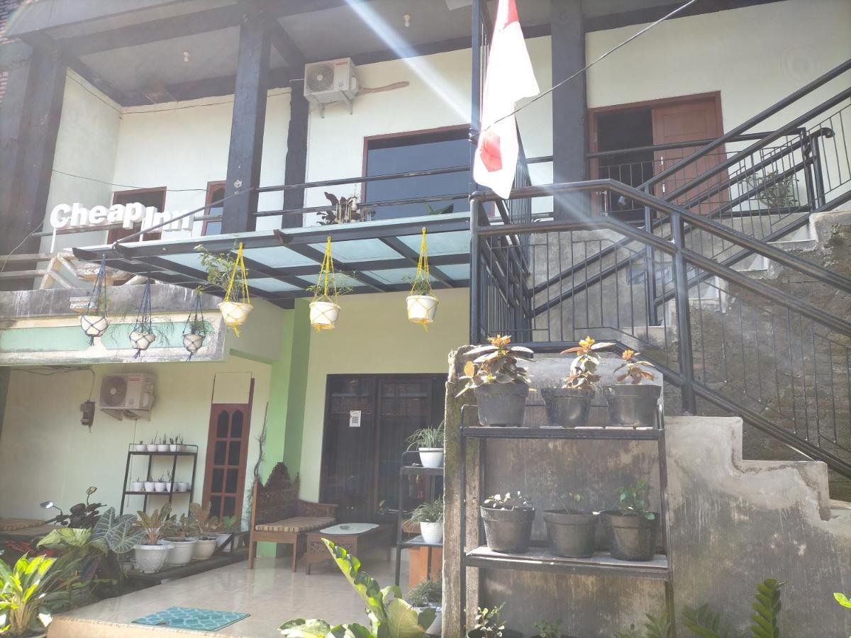 Cheap Inn Banyuwangi Banyuwangi  Esterno foto
